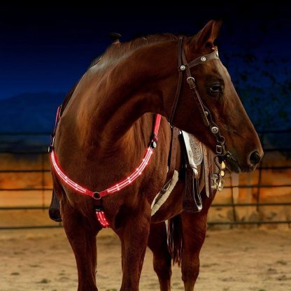 LED Horse Harness Breastplate Nylon Webbing Night Visible Horse Riding Equipment Paardensport Racing Cheval Equitation 1