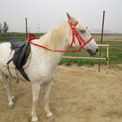 PVC Horse Bridle Horse Riding Equipment Horseback Riding Accessories Equestrian Supplies On A Horse Racing Head Collar Bridle