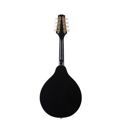 BMDT-IRIN 8-String Electric Mandolin A Style Rosewood Fingerboard Adjustable String Instrument with Cable Strings Cleaning Clo 2