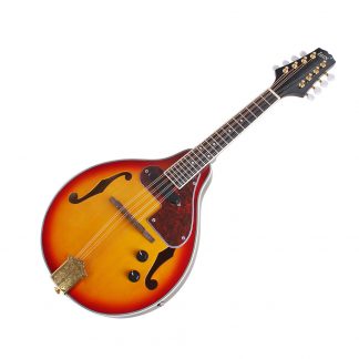 BMDT-IRIN 8-String Electric Mandolin A Style Rosewood Fingerboard Adjustable String Instrument with Cable Strings Cleaning Clo